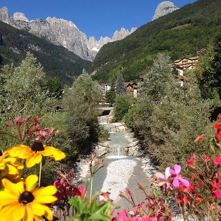Villa Ginestra Molveno Værelse billede